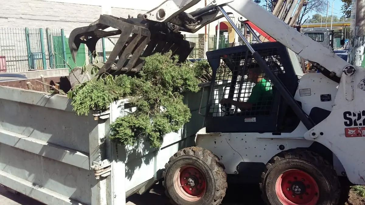 Carga de ramas con minicargadora profesional